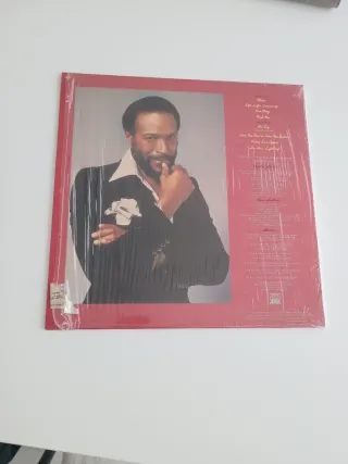LP Marvin Gaye - In Our Lifetime