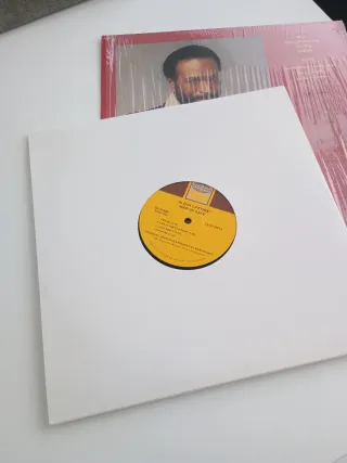 LP Marvin Gaye - In Our Lifetime