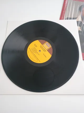 LP Marvin Gaye - In Our Lifetime