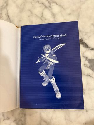Guide Skies Arcadia Dreamcast JP
