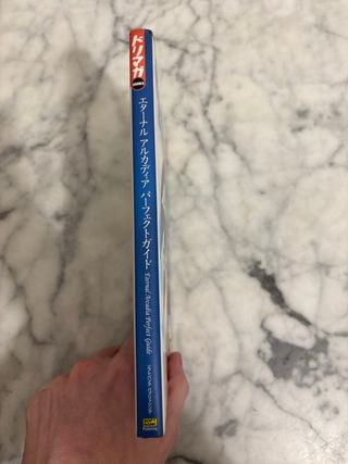 Guide Skies Arcadia Dreamcast JP