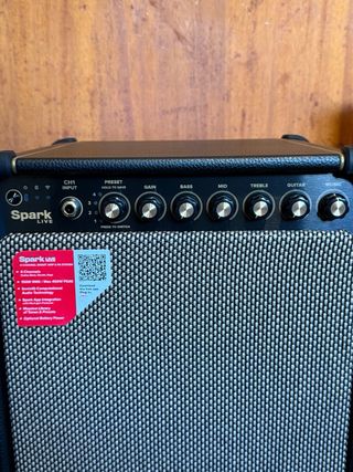 Amplificador Positive Grid Spark LIVE