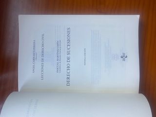 Derecho de sucesiones: Lecciones de Derecho Civil