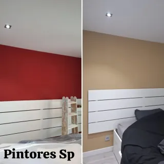 Pintor profesional en Madrid y alrededores.