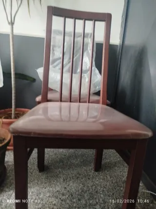 Sedie  nuove in legno imbottite