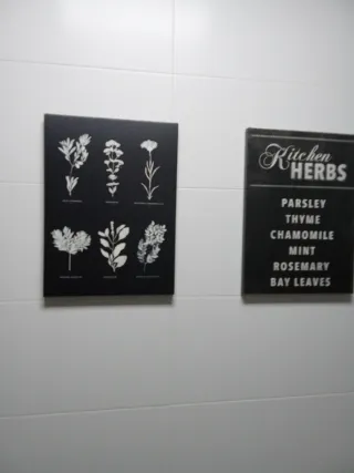 Quadri Decorativi Piante Aromatiche