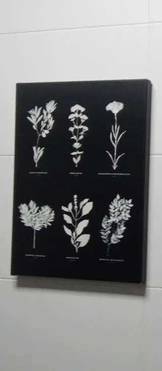 Quadri Decorativi Piante Aromatiche
