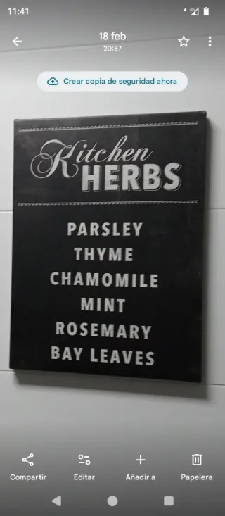 Quadri Decorativi Piante Aromatiche