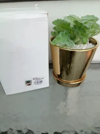 Maceta Dorada Decorativa