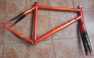 Cuadro Klein Carbon Team