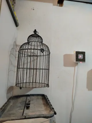 Jaula decorativa vintage