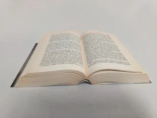 Signore Degli Anelli: II (Italian Edition)