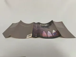 Signore Degli Anelli: II (Italian Edition)