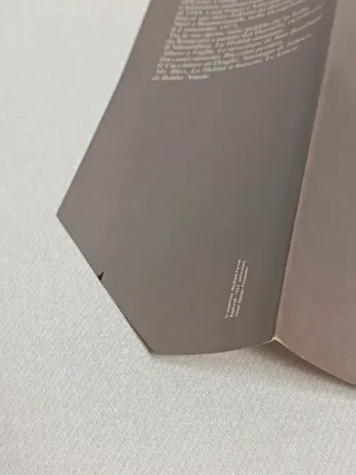 Signore Degli Anelli: II (Italian Edition)