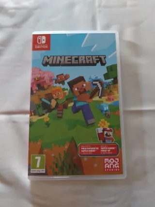 Minecraft Nintendo Switch