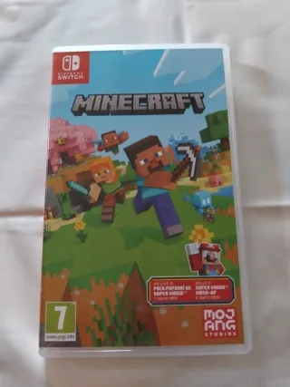Minecraft Nintendo Switch