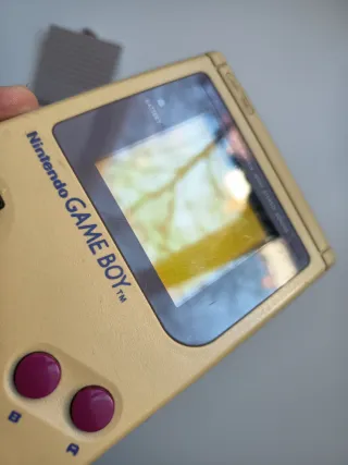 Nintendo Game Boy Clásica Beige
