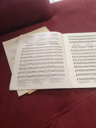 Lote libros violín: Ševčík, Sitt, Hrimaly