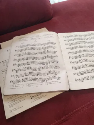 Lote libros violín: Ševčík, Sitt, Hrimaly