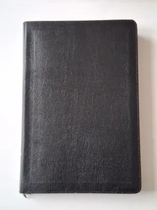 Bibbia NASB Thinline Large Print