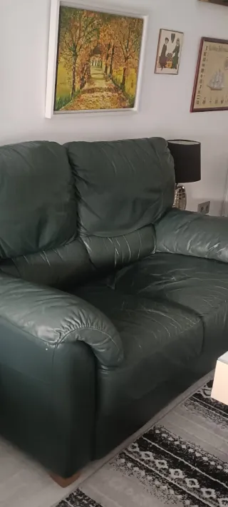 Sofá de dos plazas verde oscuro