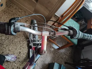 Bicicleta de montaña