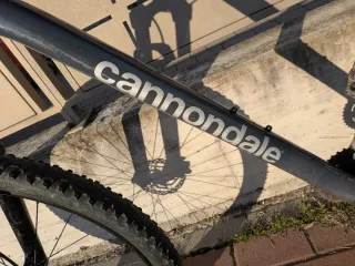 Cannondale Trail 6