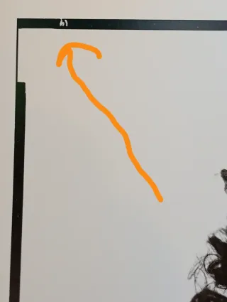 Richard Avedon Photo Press più libri