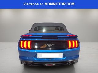 Ford Mustang 2.3 EcoBoost 198kW Mustang (Convertible)