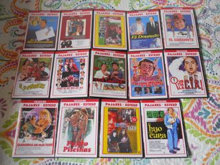 PACK 14 DVD'S COLECCION PAJARES-ESTESO