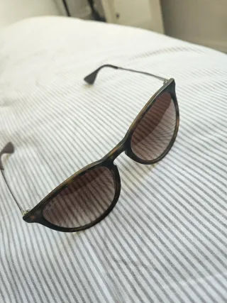 Gafas de sol Ray-Ban Erika Marrón Negro