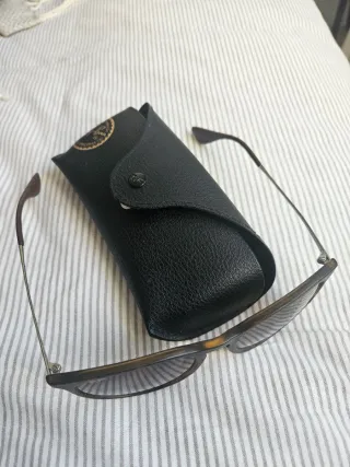 Gafas de sol Ray-Ban Erika Marrón Negro