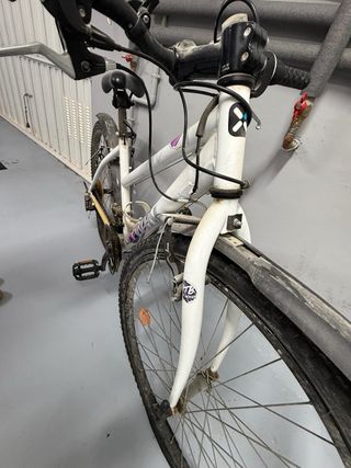 Bicicleta de montaña blanca y rosa