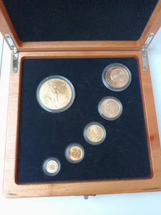 Set 6 Monedas Oro Familia Centenario