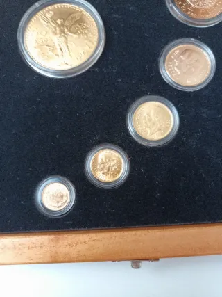Set 6 Monedas Oro Familia Centenario