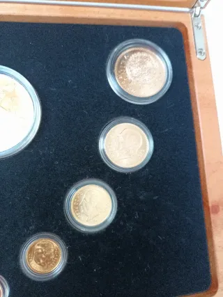 Set 6 Monedas Oro Familia Centenario