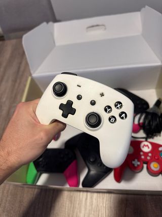 Mandos Pro Switch Nintendo