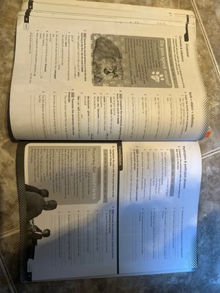 Key to Bachillerato 2. Workbook