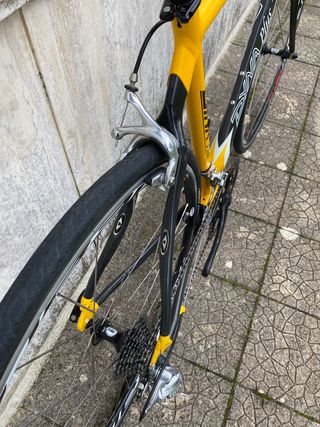 Bici Corsa Dynatek Carbon Plus + Campagnolo