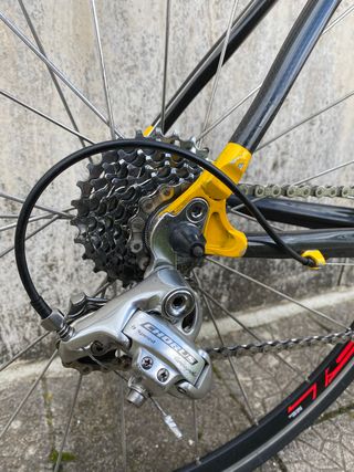 Bici Corsa Dynatek Carbon Plus + Campagnolo