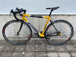 Bici Corsa Dynatek Carbon Plus + Campagnolo