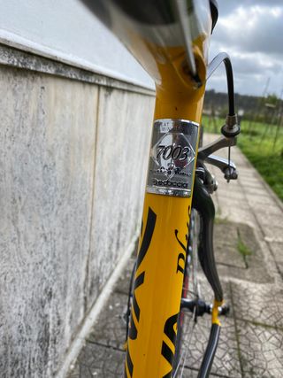 Bici Corsa Dynatek Carbon Plus + Campagnolo