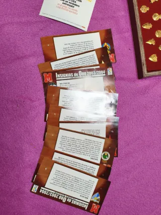 Colección Pines Fútbol Chapados Oro 2003/2004