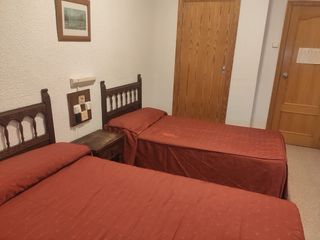 Alquilo habitación con baño privado en Elche