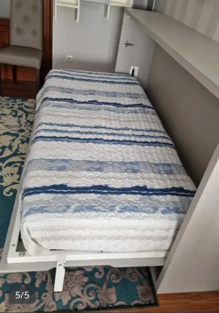Cama Plegable Armario