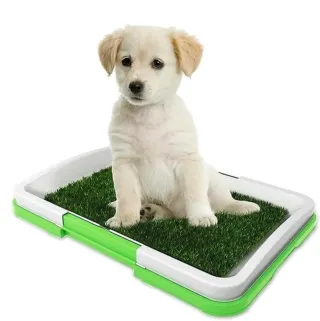 Lettiera per cani con erba sintetica 47x34x6cm