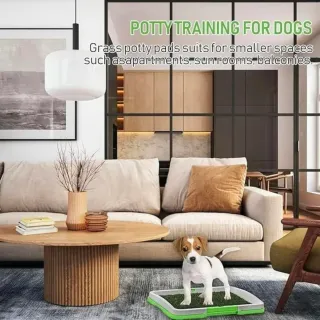 Lettiera per cani con erba sintetica 47x34x6cm