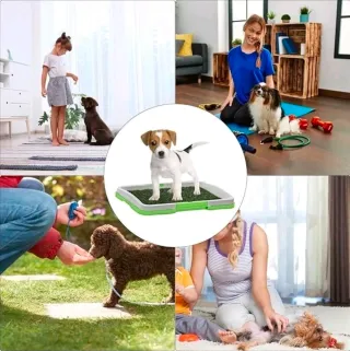 Lettiera per cani con erba sintetica 47x34x6cm