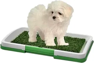 Lettiera per cani con erba sintetica 47x34x6cm