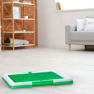 Lettiera per cani con erba sintetica 47x34x6cm